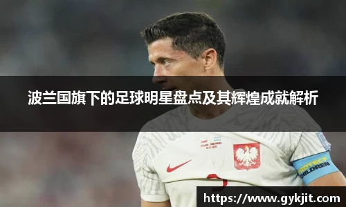 波兰国旗下的足球明星盘点及其辉煌成就解析